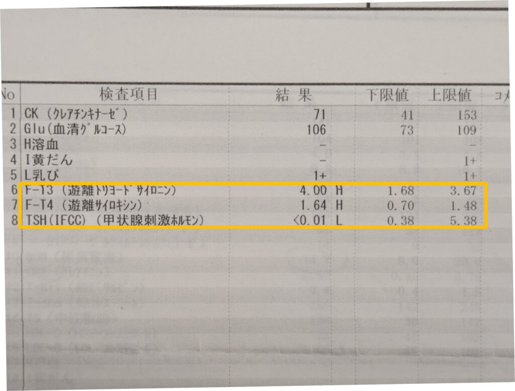 甲状腺検査値３