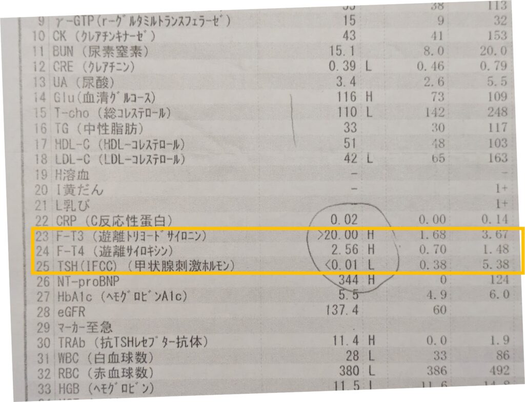 甲状腺検査値１
