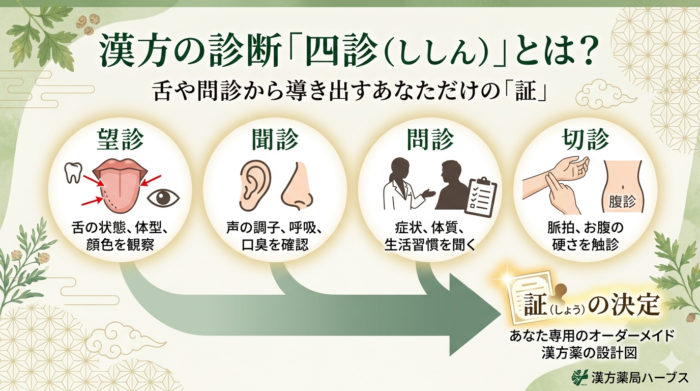 東洋医学の四診イメージ画像